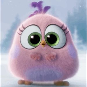 Meet your Posher, Tina